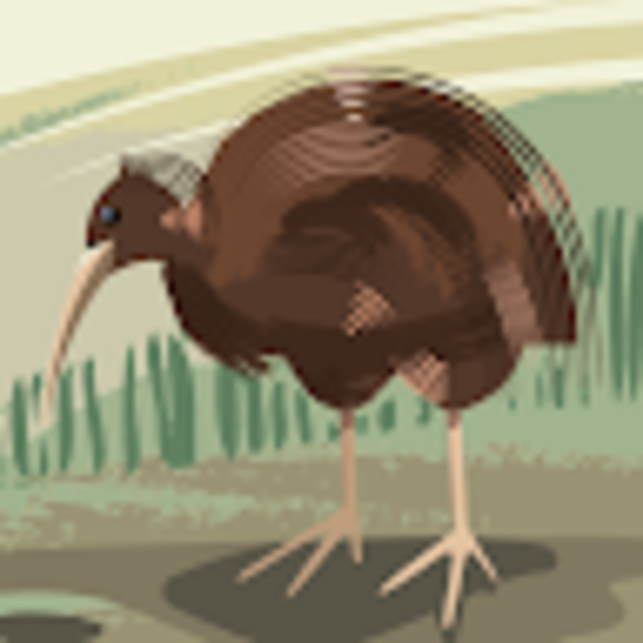 stevehawken